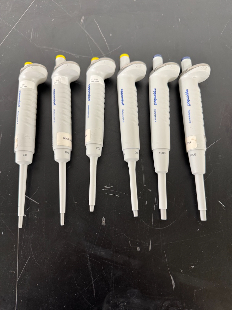 Image of Eppendorf Reference 2 Single Channel Pipettes - Quantity 6